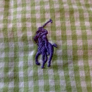Ralph Lauren Navy Logo Button-Up with Light Green Gingham